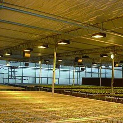 Restituições de devolução Estufas multi-espaços garantidas para o cultivo de tomate, pepino e alface