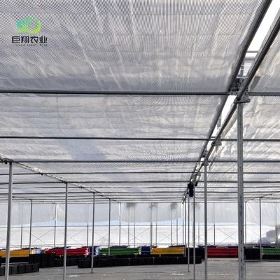 Estufas de luz solar de arco duplo para áreas de neve pesada com vibrador de neve