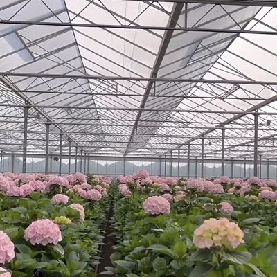 50.00cm * 60.00cm * 80.00cm Tamanho do pacote Sistema de cultivo hidropónico de estufa de vidro
