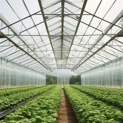 50.00cm * 60.00cm * 80.00cm Tamanho do pacote Sistema de cultivo hidropónico de estufa de vidro