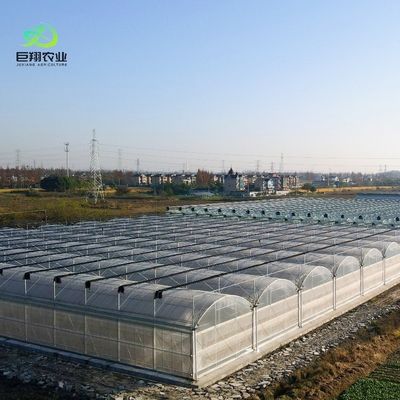 Estufas de plástico para a produção de produtos agrícolas de filmagem de túnel com alturas de 3 m a 8 m