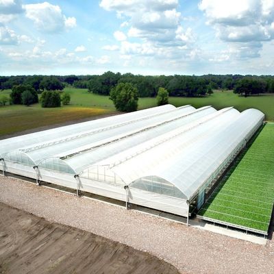 Estufas de plástico para a produção de produtos agrícolas de filmagem de túnel com alturas de 3 m a 8 m