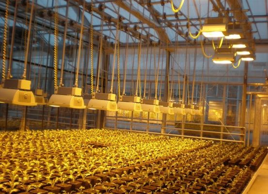 Serra de iluminação controlada por cortina úmida para 2000.000kg de peso bruto do pacote