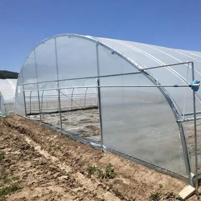 Teto com arco, túnel de plástico multi-espaço agrícola JX-PC Casa verde para a agricultura