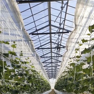 Customização Estrutura de aço Origem Sistemas de hidroponia de estufa de vidro para flores