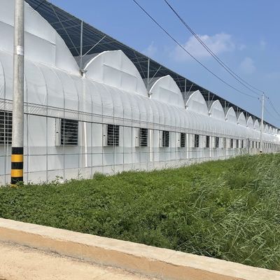 Pedido personalizado Estufa de filme de túnel de plástico para produção