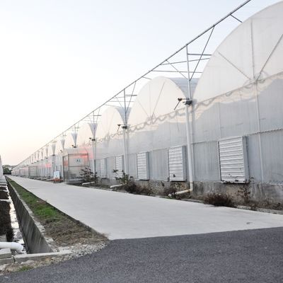 Pedido personalizado Estufa de filme de túnel de plástico para produção