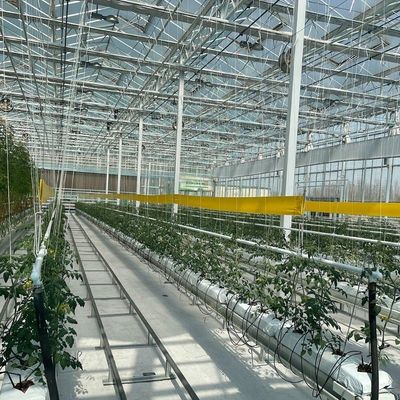 Maximizar o crescimento com o sistema de cultura sem solo em estufas de telhado arqueado