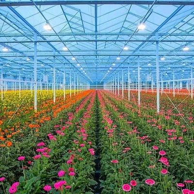 Hidroponia multi-span com boa transmissão de luz e opções personalizáveis