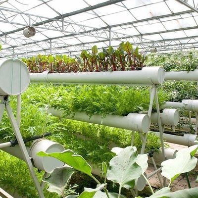 Customização de sistemas hidropónicos de alto rendimento de estufa para sustentabilidade comercial