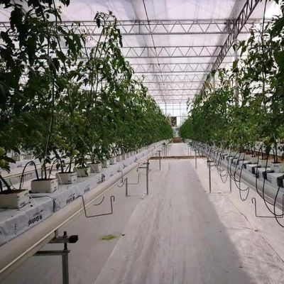 Customização de sistemas hidropónicos de alto rendimento de estufa para sustentabilidade comercial