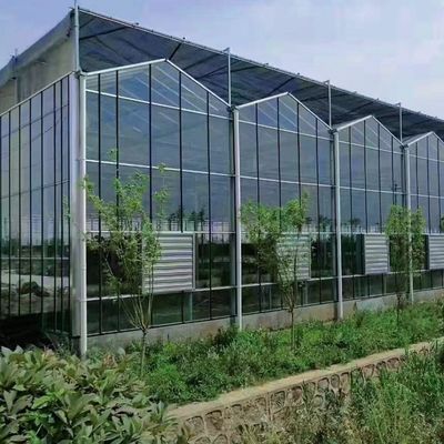 Hidropônica de crescimento multi-sombra tela de vidro de estufa com estrutura de aço e Span