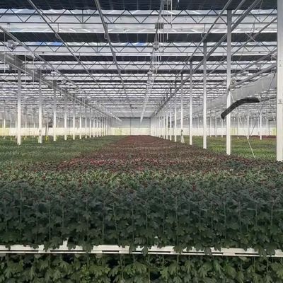 Custo de envio JX-A0059 Sistema de hidroponia de estufa de vidro a preços razoáveis para flores