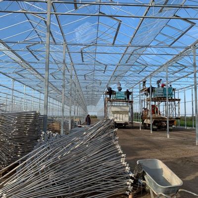 Sistema de hidroponia de estufa de vidro Venlo para vegetais fabricados nos Países Baixos
