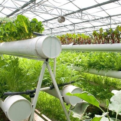 6/9.6/12meters Método de cultivo Sistema hidropônico para Juxiang Film Greenhouse Easy