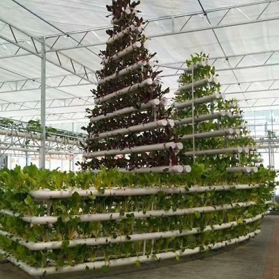 6/9.6/12meters Método de cultivo Sistema hidropônico para Juxiang Film Greenhouse Easy