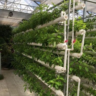 Sistema hidropónico inovador para o cultivo em estufas em estufas Opção de pagamento integral