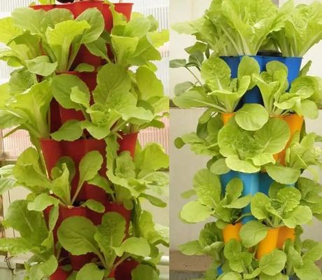 Sistema hidropónico Estufas de controle climático com aquecimento temporário por Juxiang