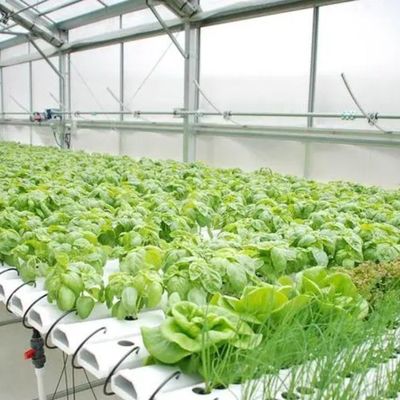 Sistema hidropónico Estufas de controle climático com aquecimento temporário por Juxiang