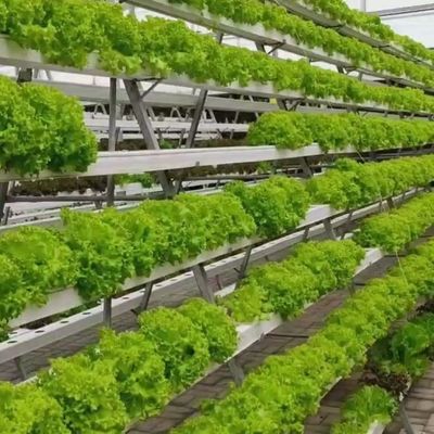 Sistema hidropónico Estufas de controle climático com aquecimento temporário por Juxiang