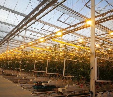 Estufas para o cultivo de sementes