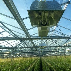 Estufas para o cultivo de sementes