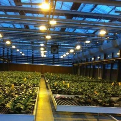 Estufas para o cultivo de sementes