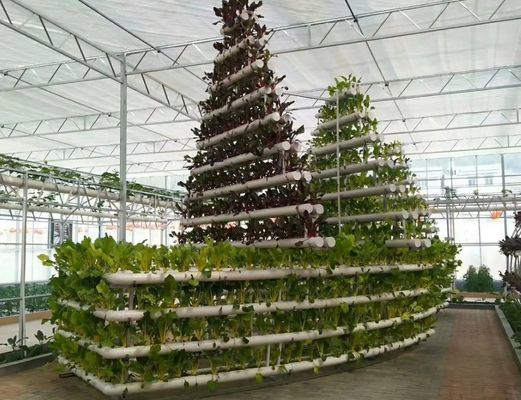 Instalação hidropônica de estufa de vidro para cultivo durante todo o ano Custo de envio acessível
