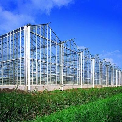 Sistema de hidroponia de estufa de vidro de preço razoável para necessidades agrícolas em larga escala
