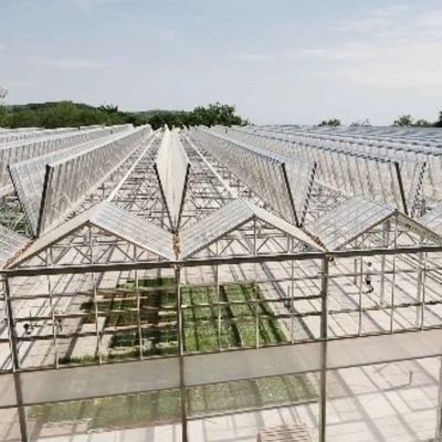 Sistema de hidroponia de estufa de vidro de preço razoável para necessidades agrícolas em larga escala
