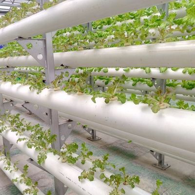 9.6m Estufa de filme para o rendimento máximo no cultivo sem solo e pagamento inicial