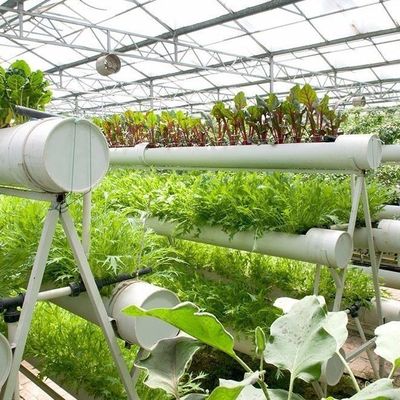 9.6m Estufa de filme para o rendimento máximo no cultivo sem solo e pagamento inicial