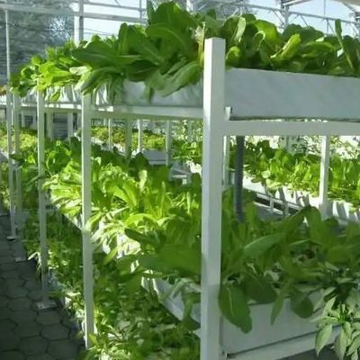 9.6m Estufa de filme para o rendimento máximo no cultivo sem solo e pagamento inicial