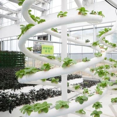 9.6m Estufa de filme para o rendimento máximo no cultivo sem solo e pagamento inicial