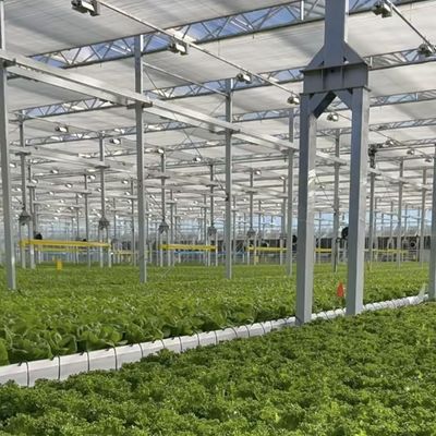 Origem Sistema hidropónico de estufa de vidro para o cultivo de flores US 20/m2