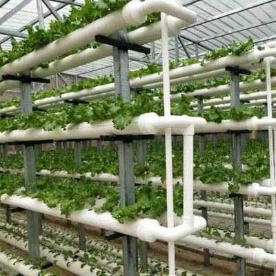 Soluções temporárias de aquecimento para o departamento de estufas de vidro
