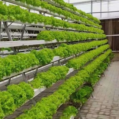 Soluções temporárias de aquecimento para o departamento de estufas de vidro
