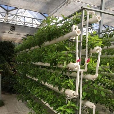 Soluções temporárias de aquecimento para o departamento de estufas de vidro