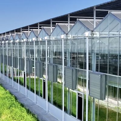 Sistema hidropónico de estufa de vidro de várias faixas para melhores condições de crescimento de vegetais
