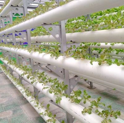 Sistema hidropónico de estufas agrícolas em grande escala com método de aquecimento temporário