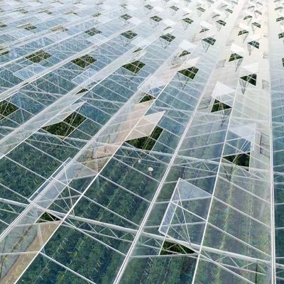 Sistema de hidroponia de vidro de irrigação por gotejamento de estufa comercial com personalização