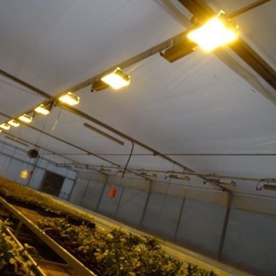Ambiente controlado Estufa de plantação iluminada com cobertura de vidro e iluminação