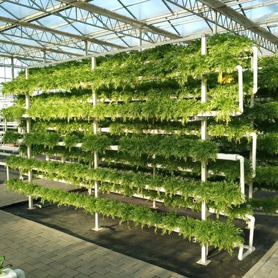 Hidroponia de estufa de vidro oco de camada única perfeita para agricultura hidropônica
