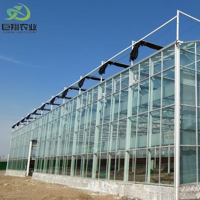 Filtro de tipo arco multi-espansão personalizado Estufas agrícolas com cobertura de vidro