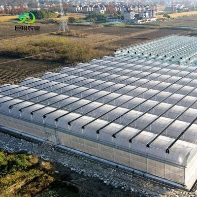 Estufas de policarbonato personalizadas de 8 m 9,6 m 12 m para irrigação e fertilização de jardins
