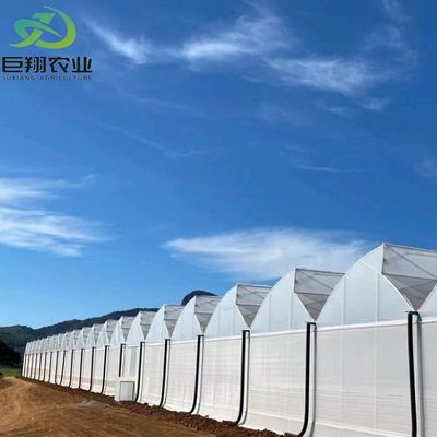 Estufas de policarbonato personalizadas de 8 m 9,6 m 12 m para irrigação e fertilização de jardins
