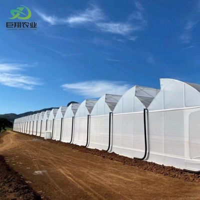 Estufas de policarbonato personalizadas de 8 m 9,6 m 12 m para irrigação e fertilização de jardins