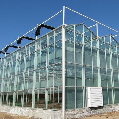 Vidro de camada dupla com sistema de controle climático para agricultura e agricultura personalizadas
