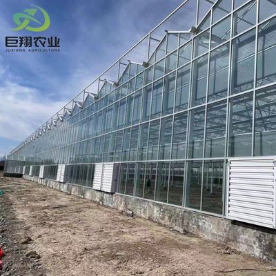 Vidro de camada dupla com sistema de controle climático para agricultura e agricultura personalizadas