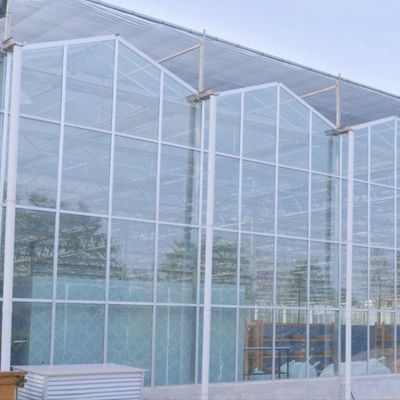 Método de cultivo hidropónico Agricultura Estufas de vidro para tomate/frutas temperadas
